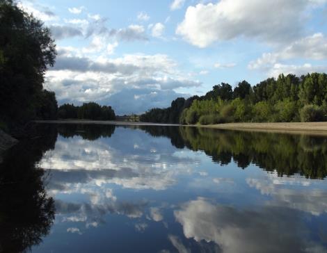 Nature - Loire - 9 août 2017 - OT Terres de Loire et Canaux - I.Rémy (2)