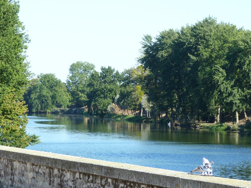 A la rencontre des oiseaux migrateurs - Crédit photo : ADRT du Loiret
