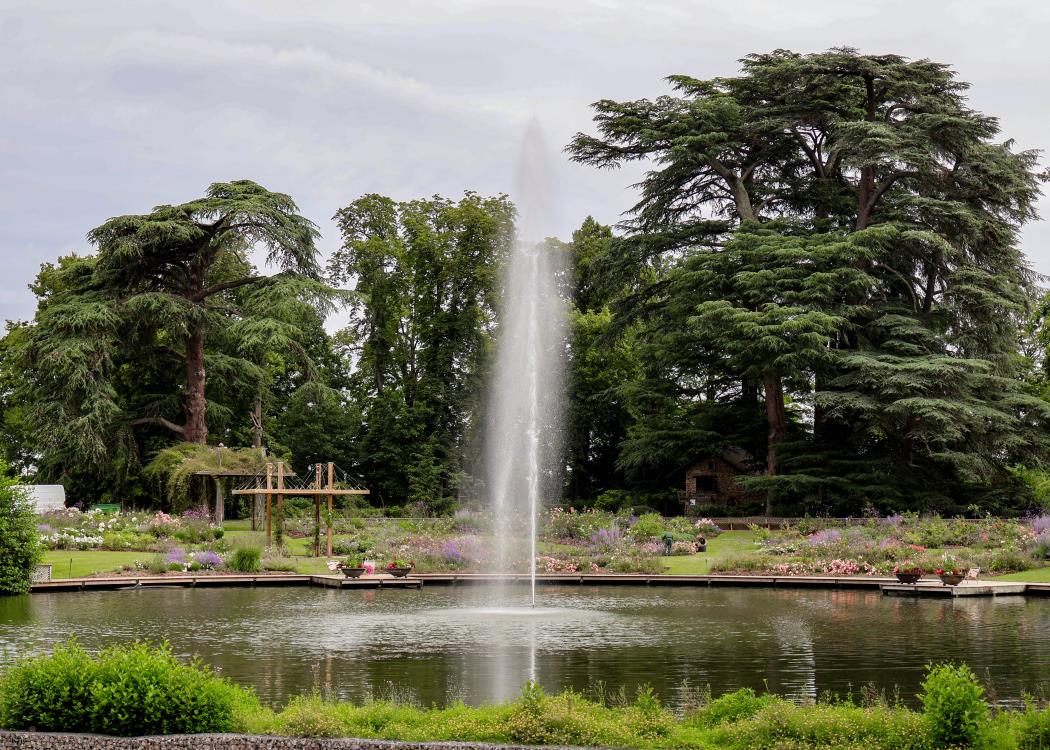 Parc Floral 2024 ©Sandrine Bercier (40)