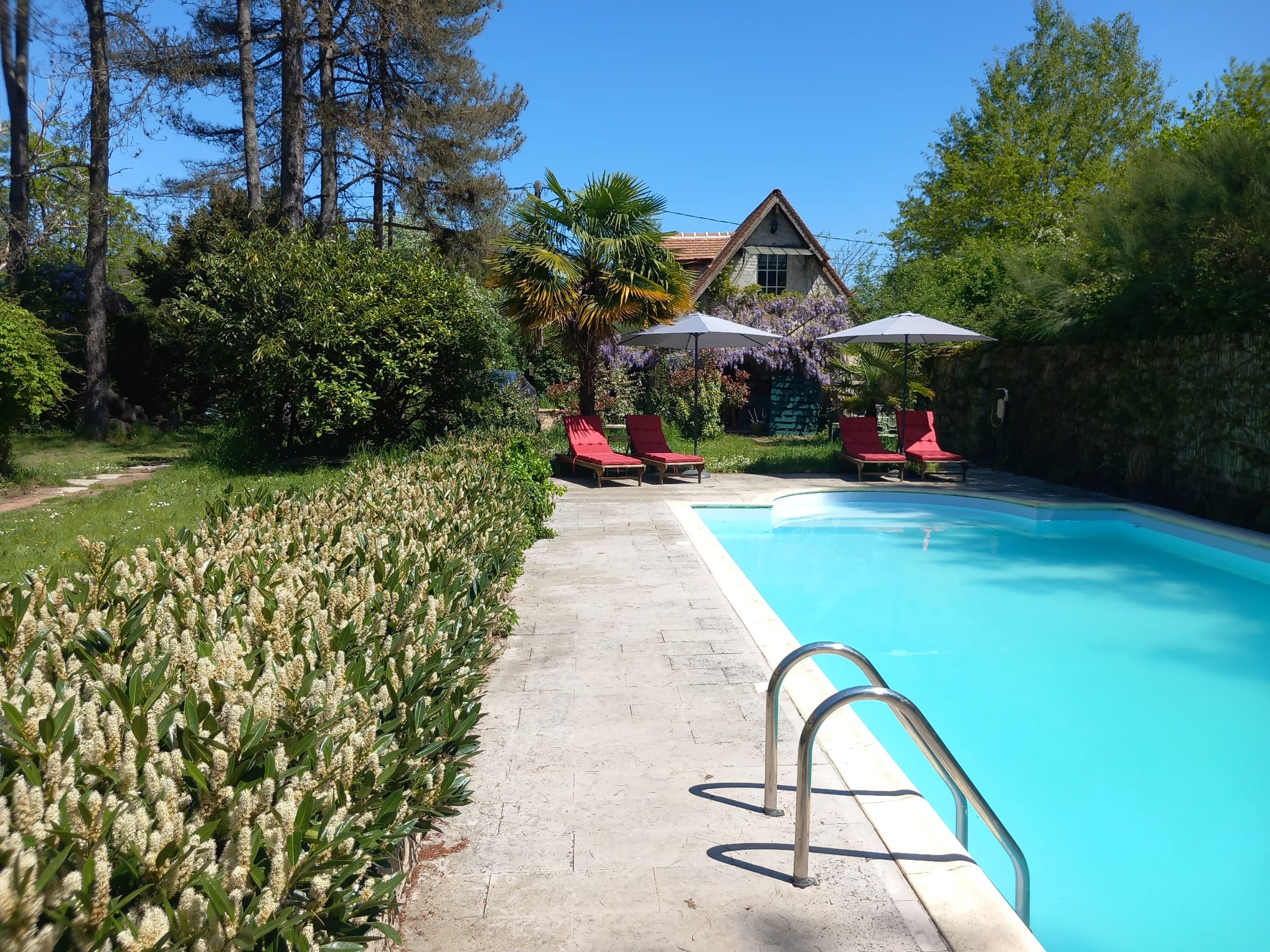 Piscine parasols - Crédit photo : Natacha Crnjanski