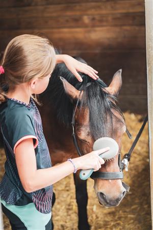 ASC 2 - Association Somone Keur Bassin Poney Club des 5 Arpents