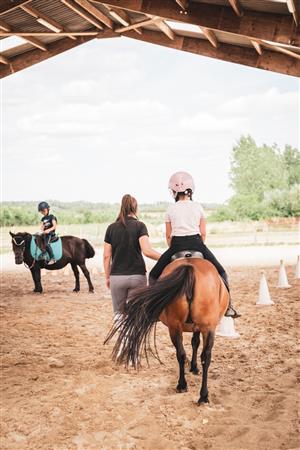 ASC 5 - Association Somone Keur Bassin Poney Club des 5 Arpents