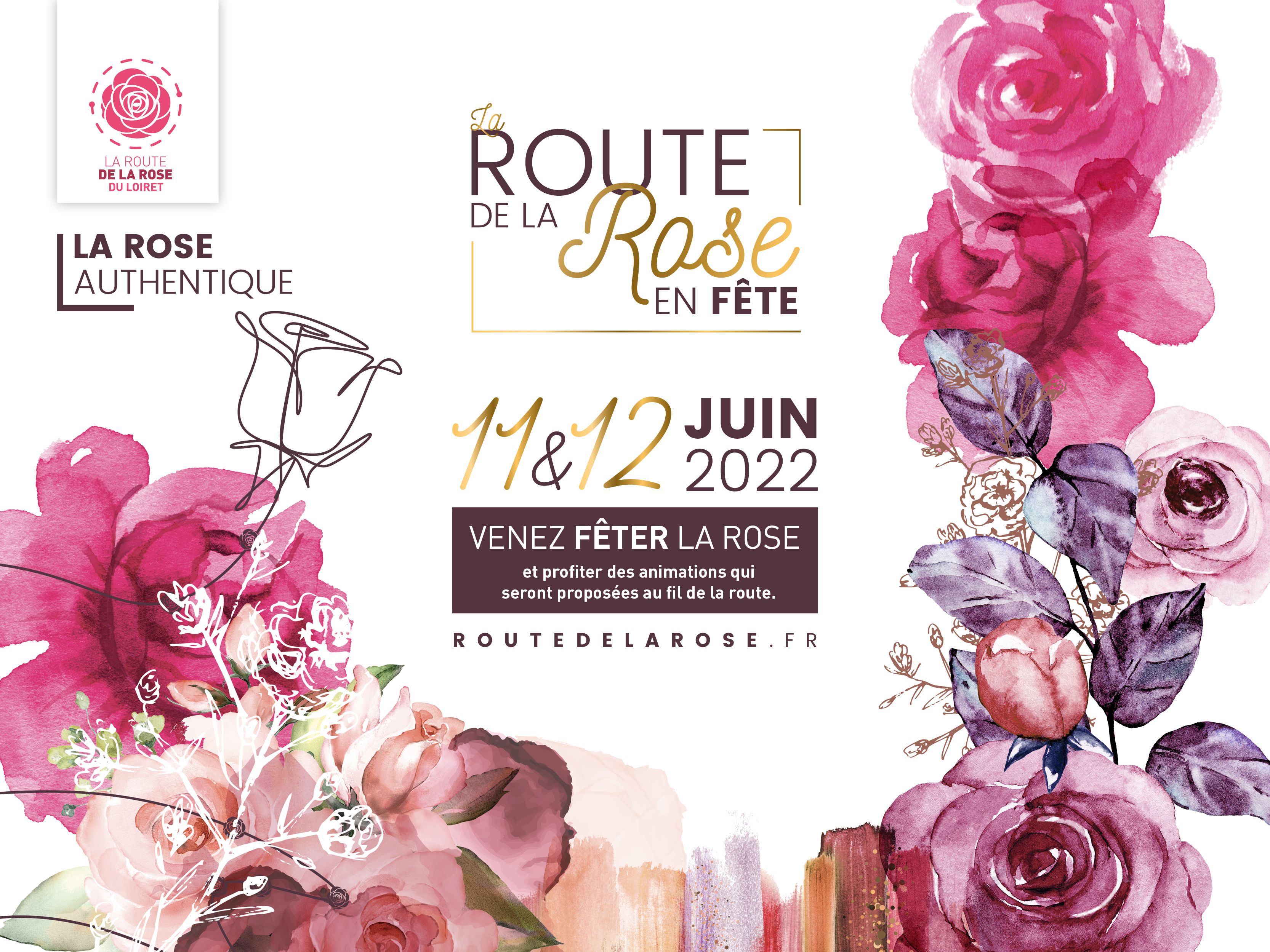 Rose en fete