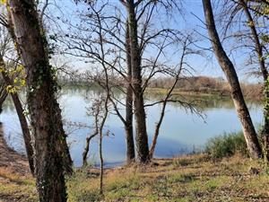 ASC 5 - Association Somone Keur Bassin Pêche à l'étang de la Tuilerie à Sandillon