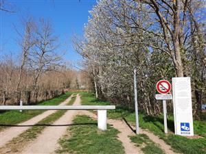 ASC 2 - Association Somone Keur Bassin Pêche à l'étang de la Tuilerie à Sandillon