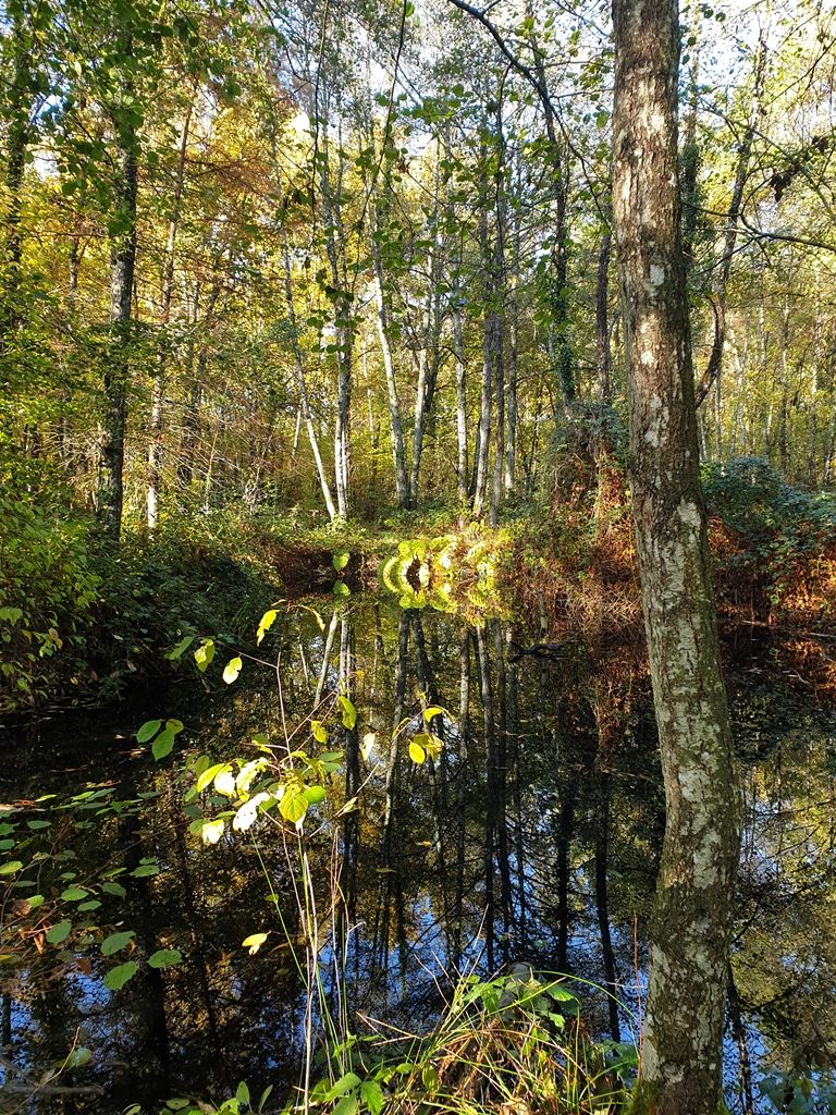 - Crédit photo : CD45 - Crédit photo : CD45