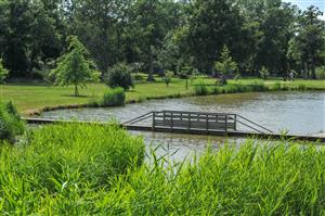 Aire du Champs des Bretons