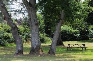 Aire du Champs des Bretons