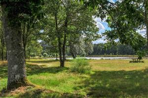 Aire de l'étang de Villechaume