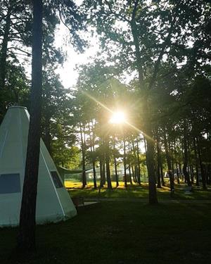 Parc de Nibelle
