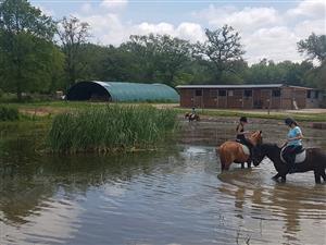 Poney Club / Centre équestre de Vinauger