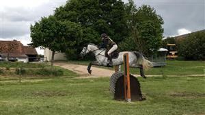 Poney Club / Centre équestre de Vinauger