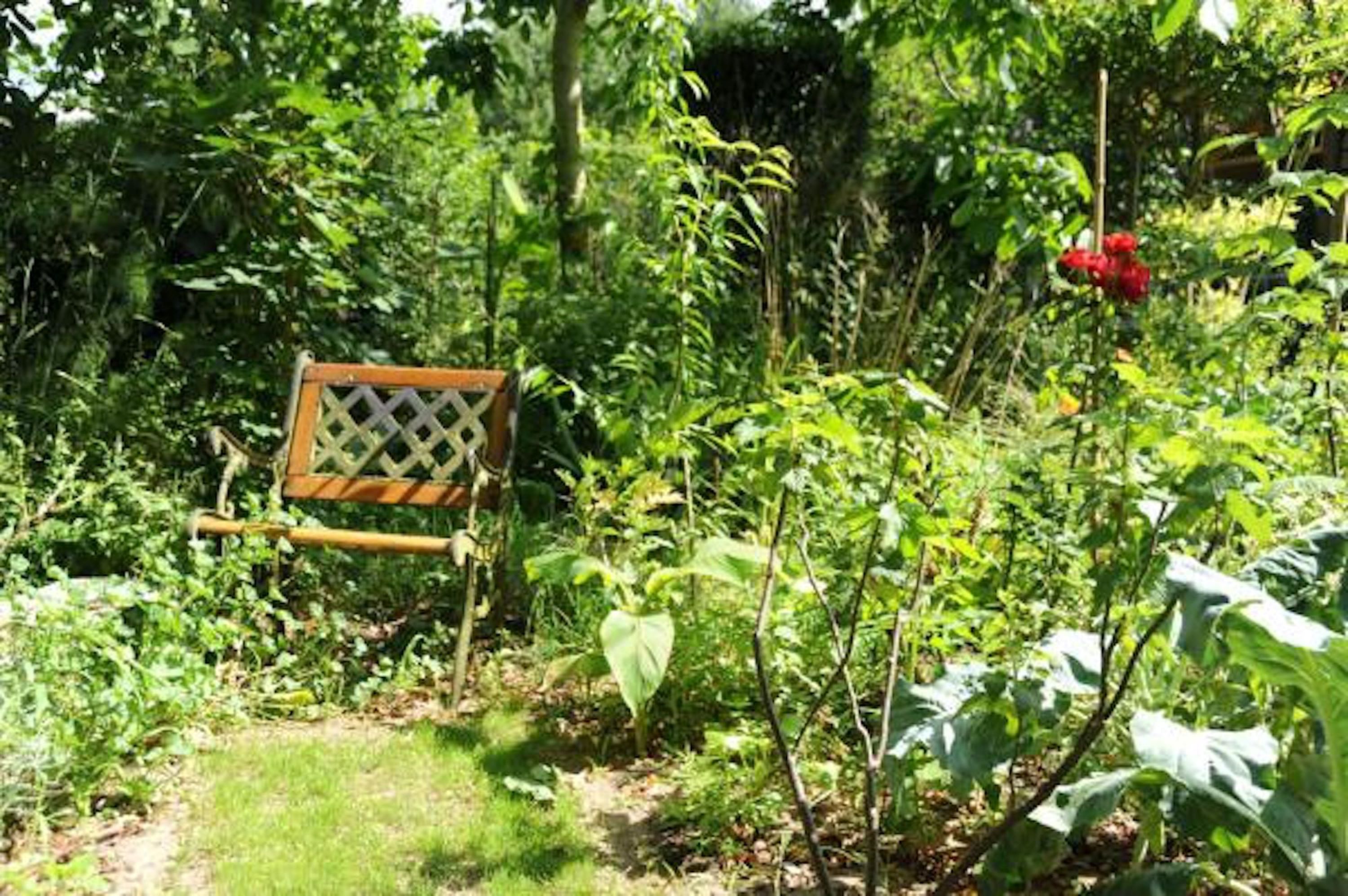 chambres et table d'hôtes cervina kopp loiret banc dans le jardin - Crédit photo : marie KOPP