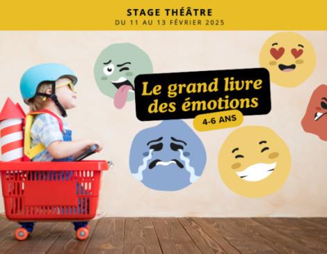 Stage 4-6 ans : Le grand livre des émotions Du 11 au 13 fév 2025