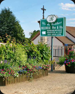 Domaine Billereau