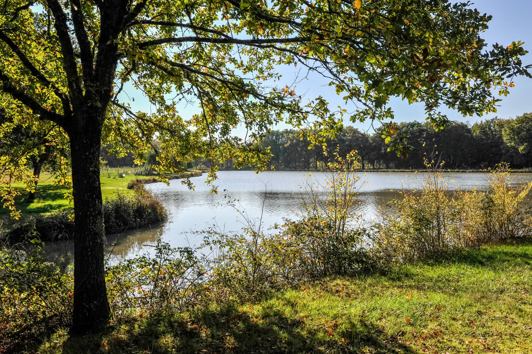 Villechaume Pond