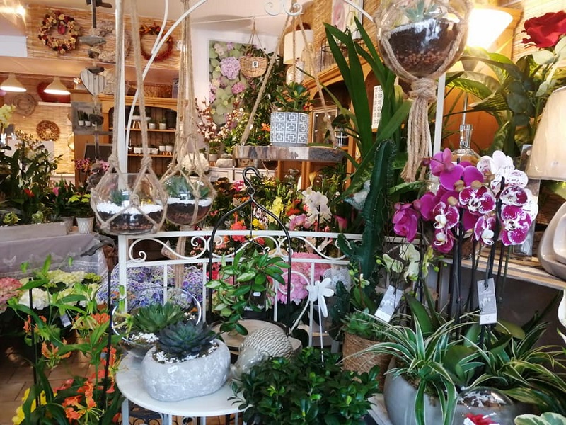 Les Floralies de Sologne