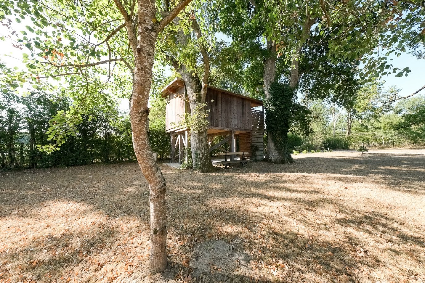 Cabane perchée de Lousson