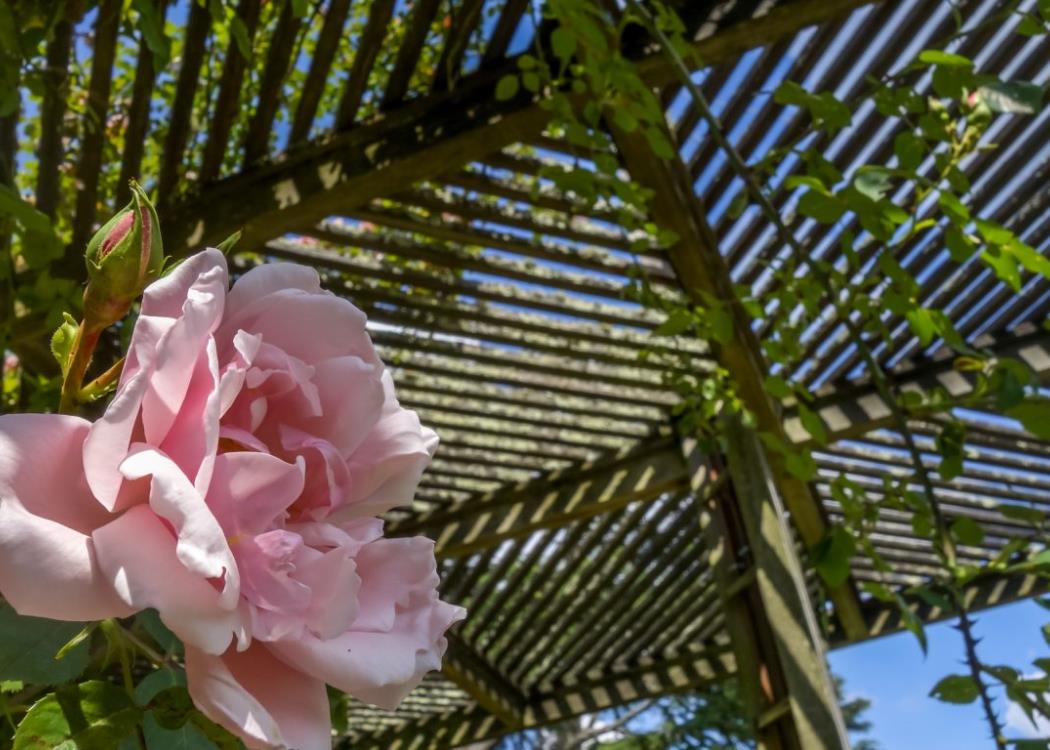 Le Jardin des Plantes Orléans Val