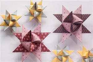 Atelier Terre Papier Ciseaux