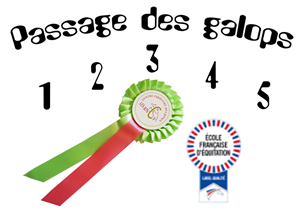 Centre équestre Les Joncs