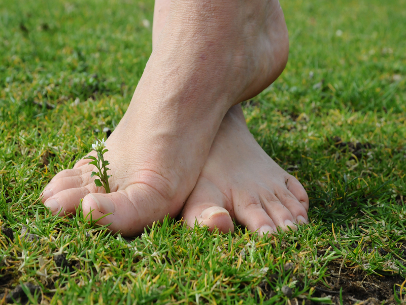 sentier-pieds-nues©Loisirs-loire-Valley