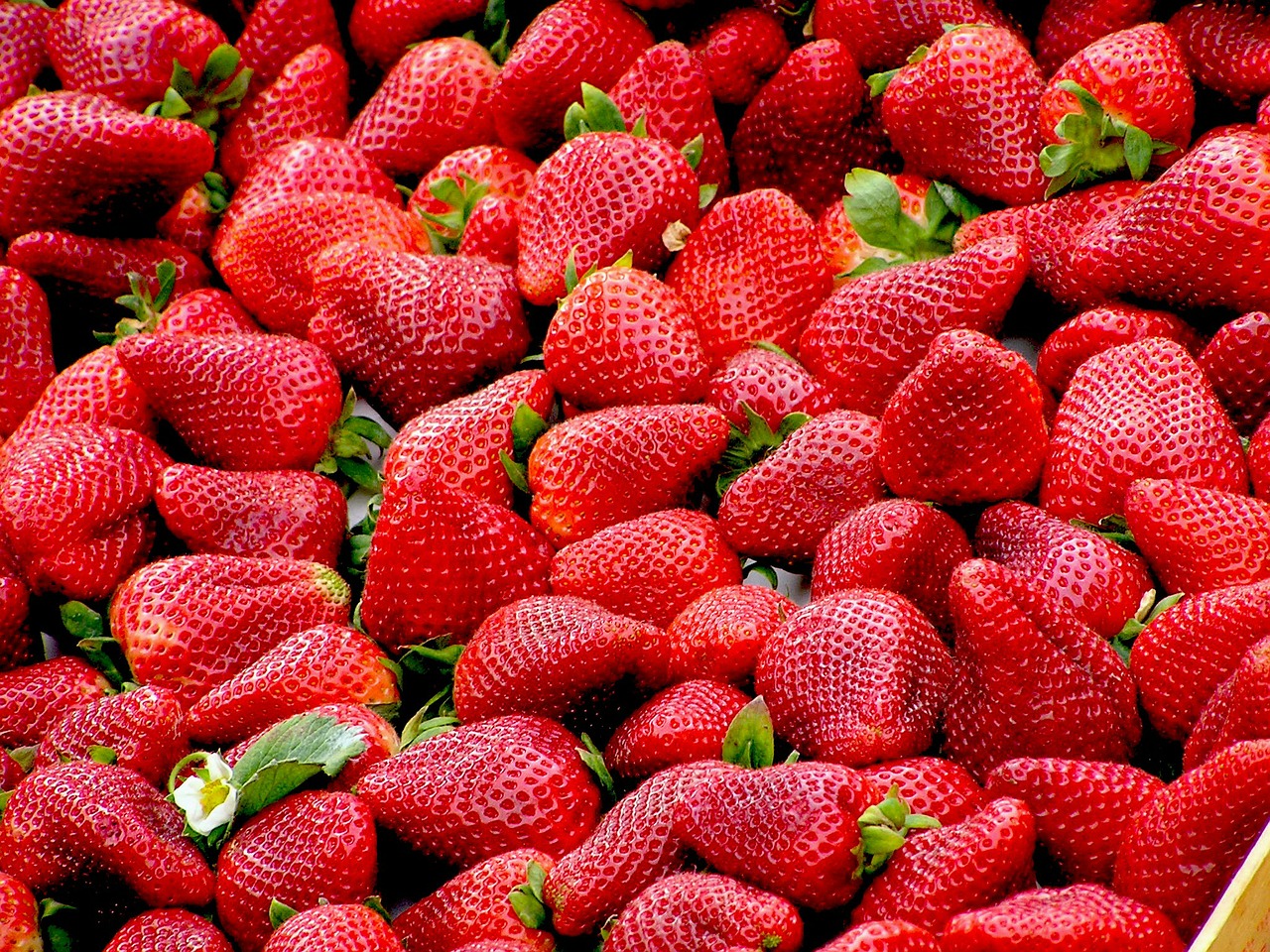 strawberries-99551-1280-4