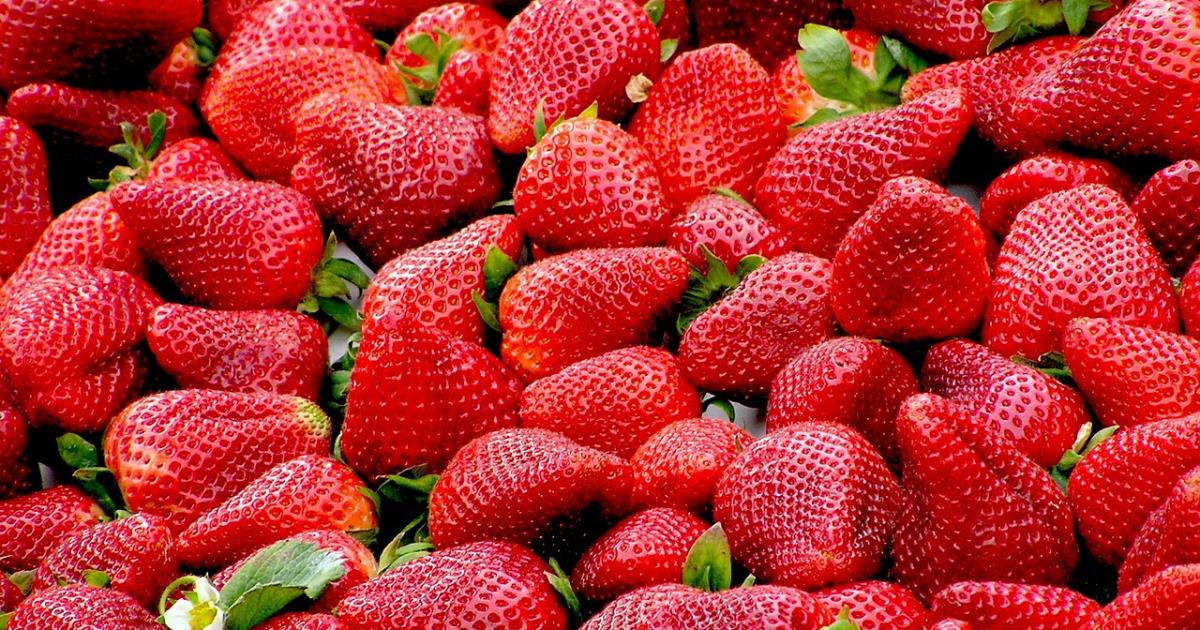 Marché de Fleury-les-Aubrais - Dimanche